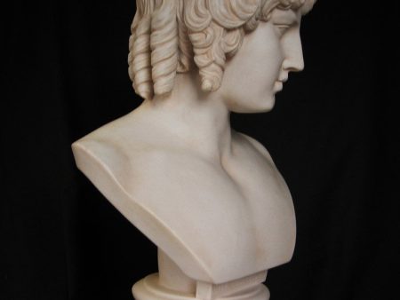 Antinous Vaticano Cheap