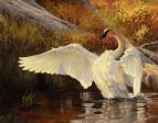 Dustin Van Wechel: Painting Wildlife: Birds and Waterfowl Online