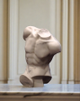 Torso of Apollo Hot on Sale