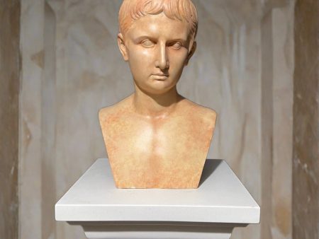 Augustus Caesar in antique terracotta Discount