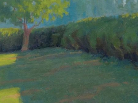 Ian Roberts: Plein Air:  Landscape Painting Techniques for Success Cheap