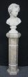 Mountain Camelia marble column For Discount