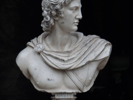 Apollo Belvedere Bust Lrg Antiquity Finish For Sale