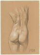 Daniel Maidman: Enhanced Life Drawing Online Sale