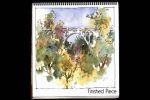 Brenda Swenson: Sketching Techniques with Watercolor Online Sale