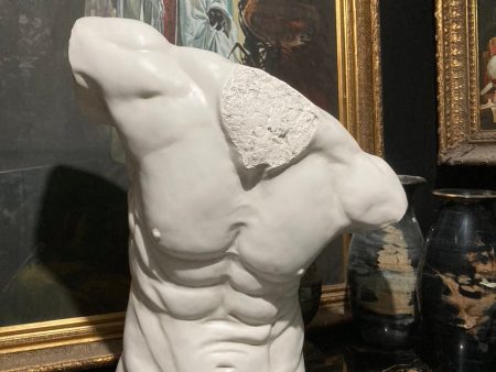 Life Size Male Torso Online Hot Sale