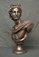 Apollo Belvedere Bronze on Sale