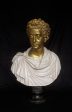 Commodus Bust With Gilt head Cheap