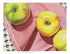 Janie Gildow: The Art of Colored Pencil - The Light Touch Supply