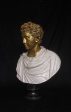 Commodus Bust With Gilt head Cheap