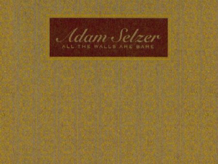 ADAM SELZER -  All The Walls Are Bare . CD Hot on Sale