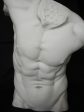 Male Torso Lrg Discount